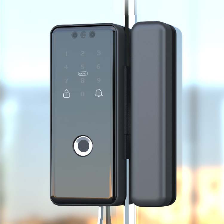 3D Face Recognition Smart Glass Door Lock with 6 Unlock Methods and Clutch Stepping Motor