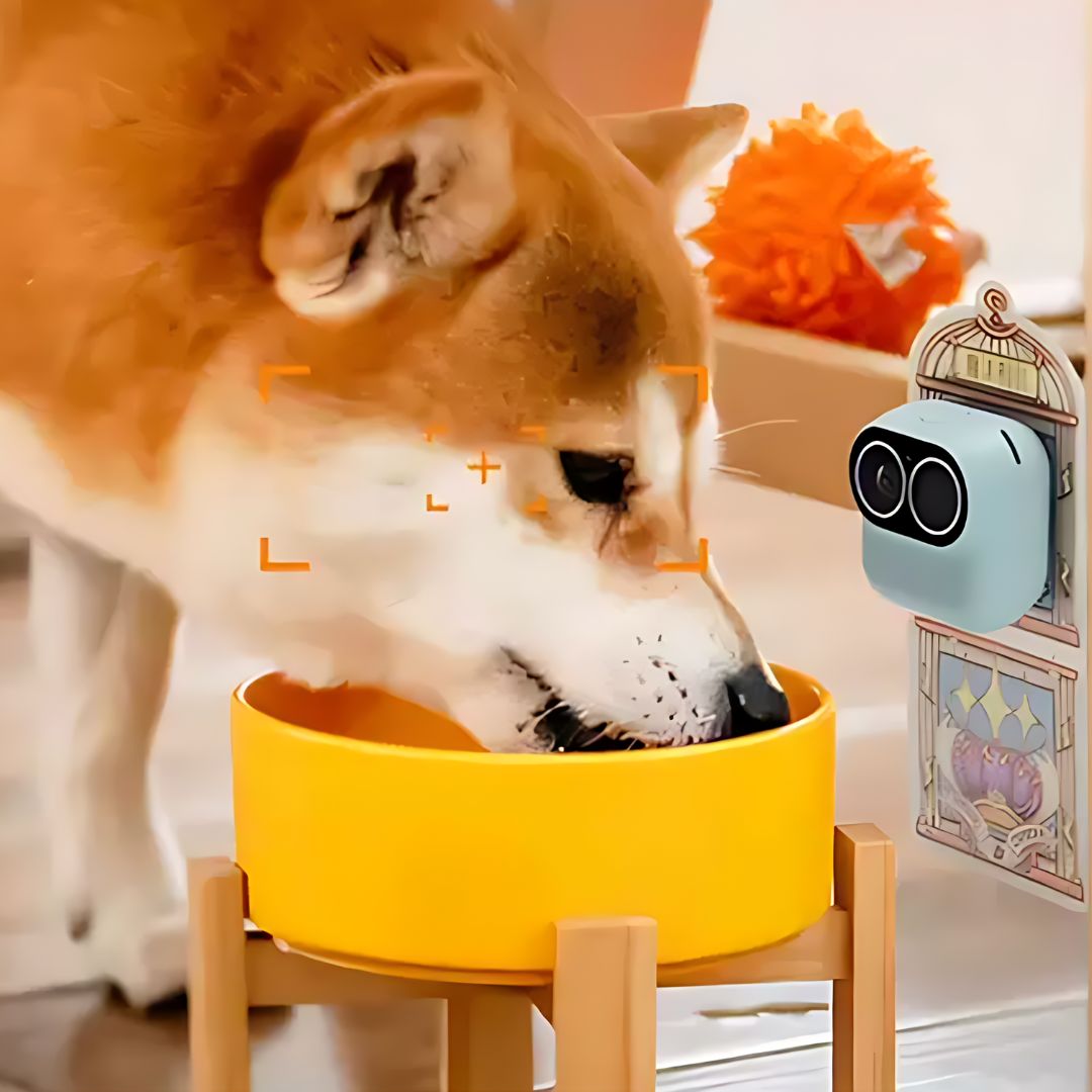 Portable Dual-Purpose Sports Vlog Camera and Household Surveillance Camera to Capture Immersive First-person Perspective Shots